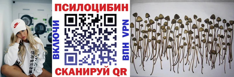 Псилоцибиновые грибы мухоморы  Анива 